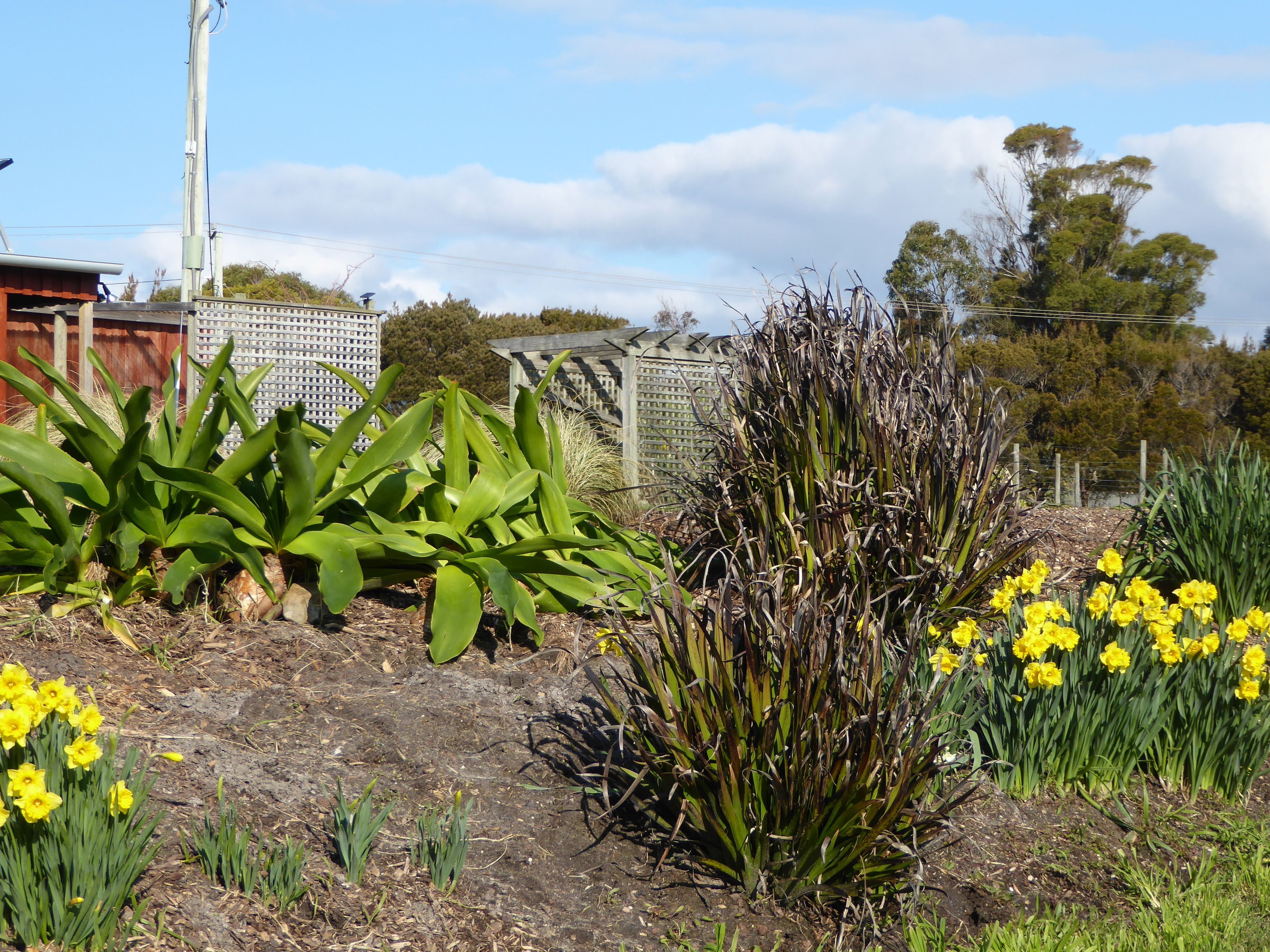 Platypus Park Country Retreat — image 25
