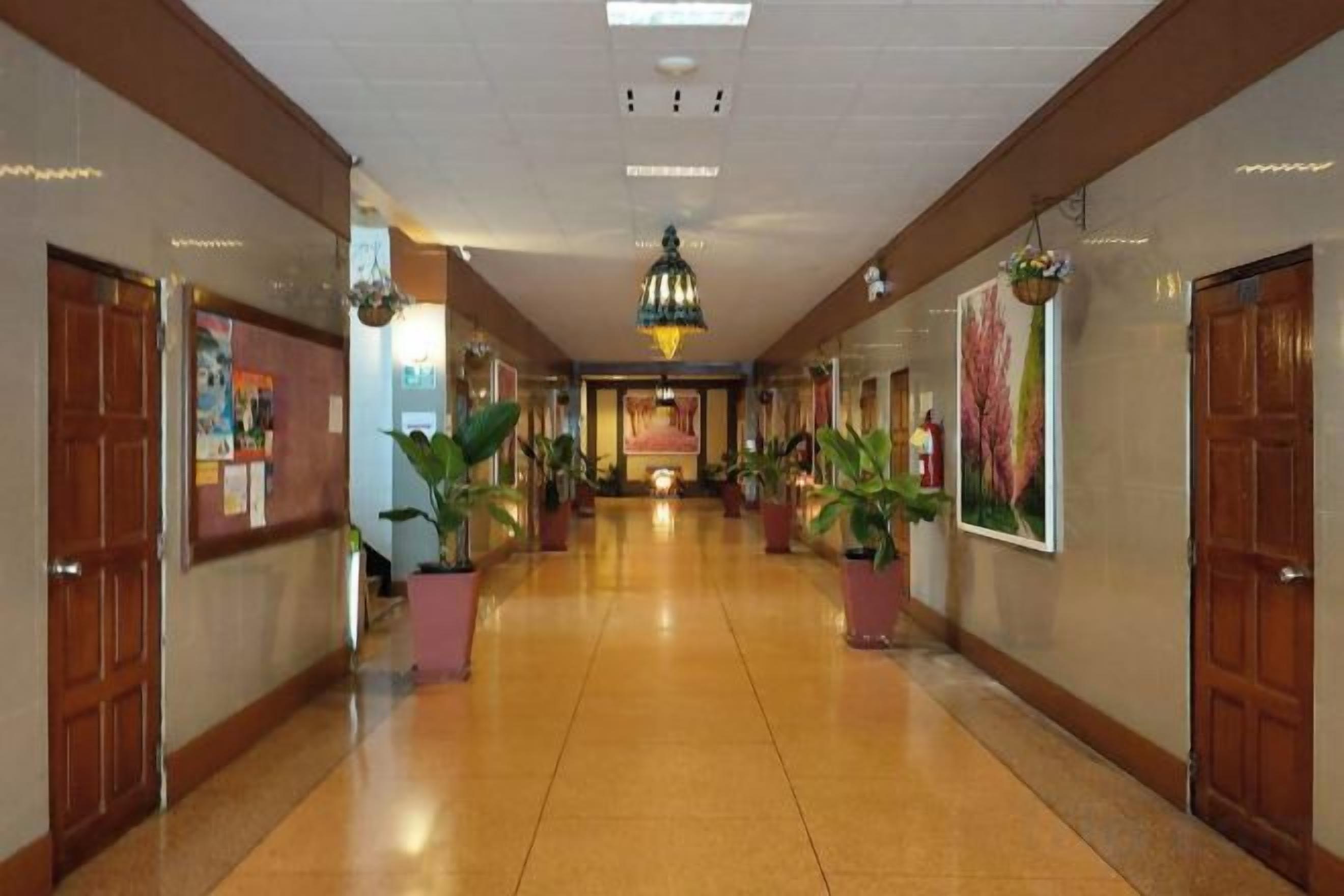 Pasillo de hotel con puertas de madera, plantas en macetas y un candelabro en el centro.