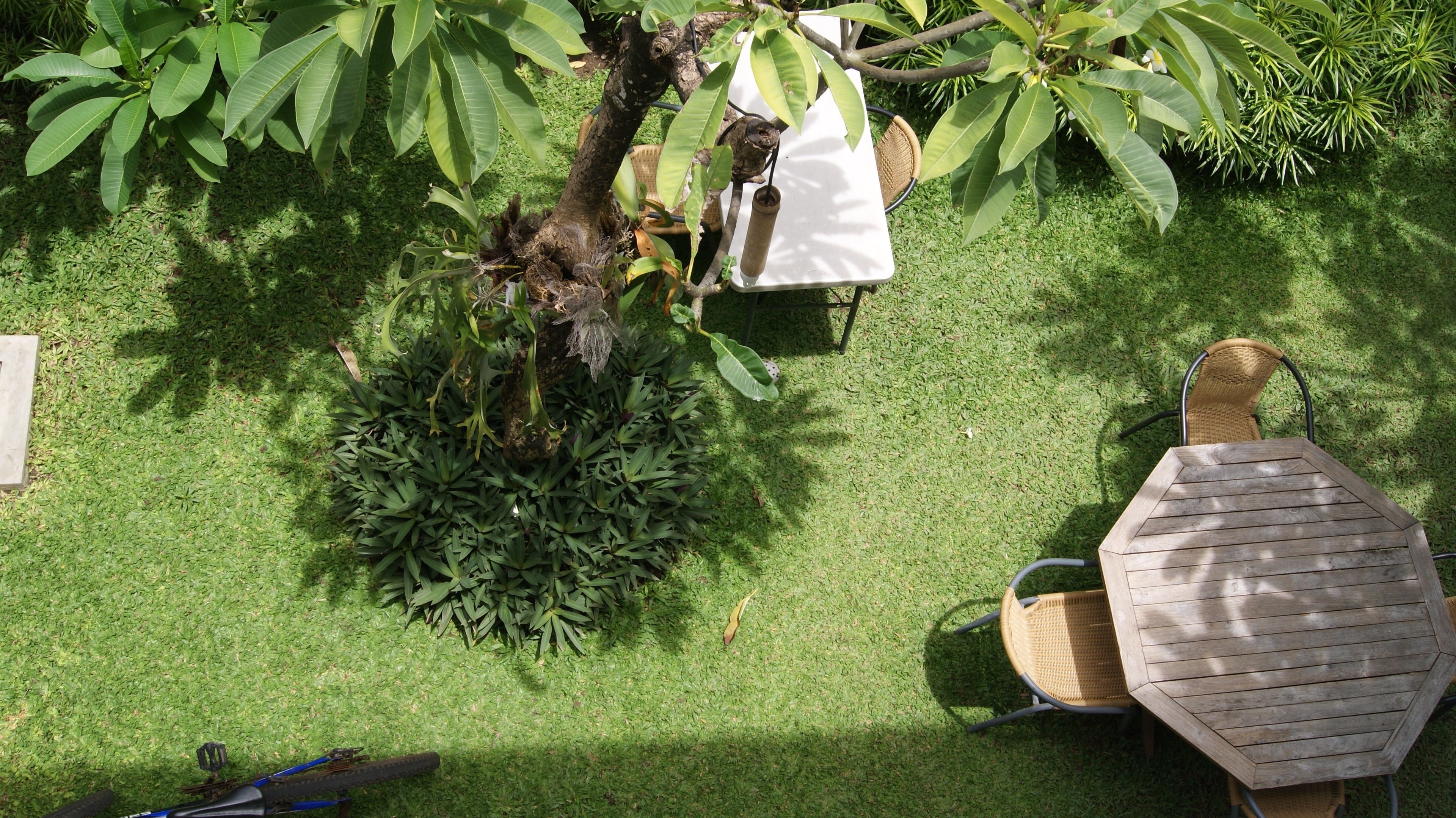 Uma mesa de madeira hexagonal com uma cadeira trançada, rodeada por grama verde exuberante e diversas plantas.