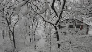 Exterior - Chalet Myoko (Myoko)