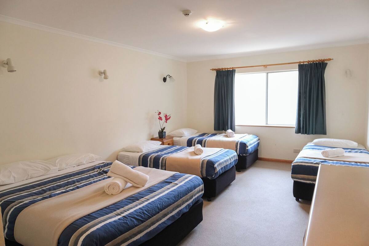 Een hotelkamer met drie bedden, een raam met gordijnen, een klein tafeltje met een plant en een plafondlamp.
