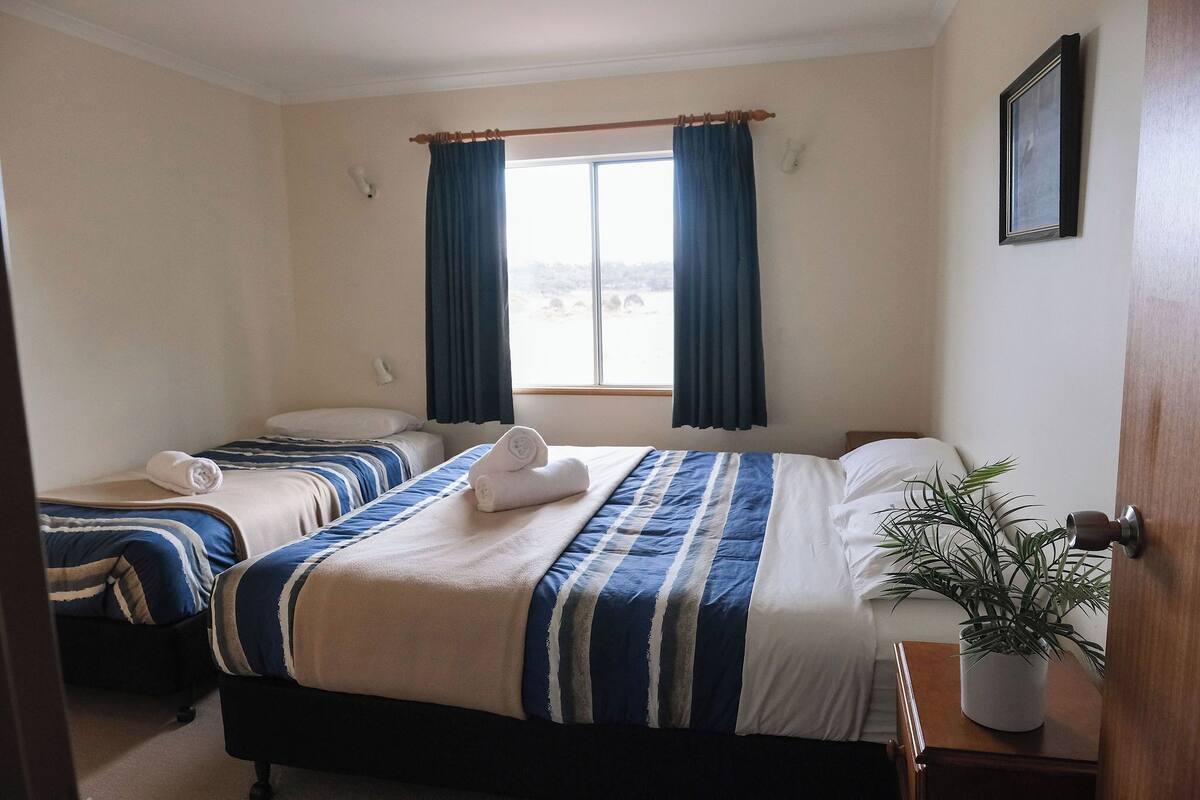 Een hotelkamer met twee bedden, een raam met gordijnen, een kamerplant en een ingelijst kunstwerk aan de muur.