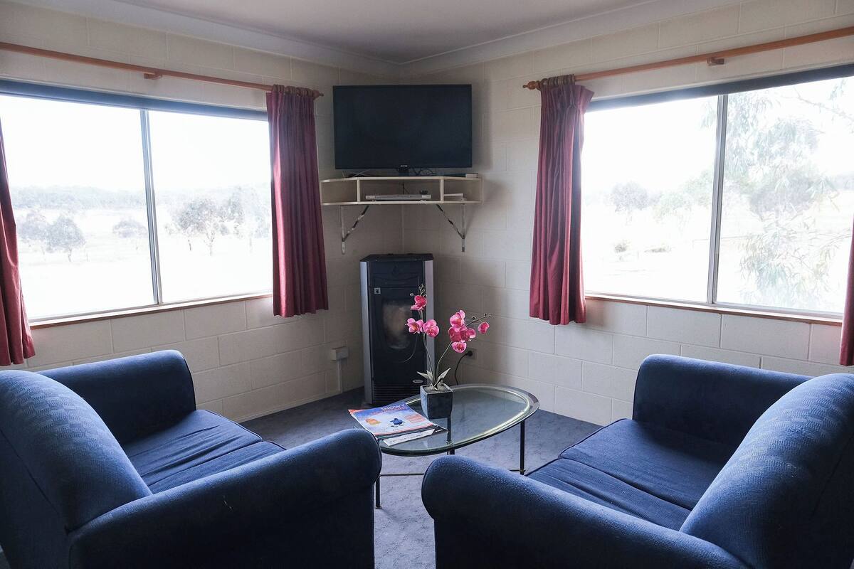 Een kamer met een wandgemonteerde flatscreen televisie, twee blauwe fauteuils, een glazen salontafel en een potplant met roze bloemen.