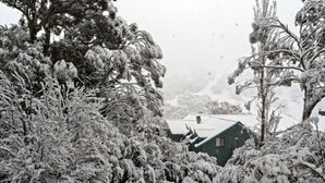 A snow-covered landscape with trees and a building. - Alpenhorn (Thredbo)