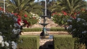 Ein Garten mit einem Brunnen, Palmen und blühenden Pflanzen.