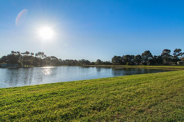 A grassy area with a body of water and trees in the background. - Kapunda Tourist Park (Kapunda)
