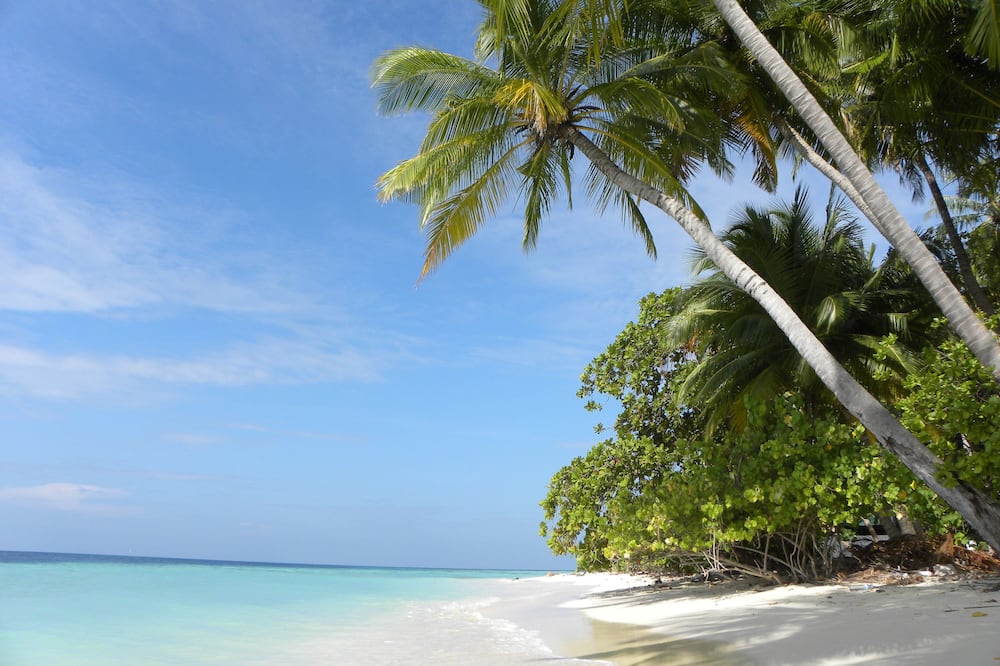 Vaali Maldives Island Escapes & Dive — rental in Beach Road, Vaavu Atoll, Felidhoo MV, 20196