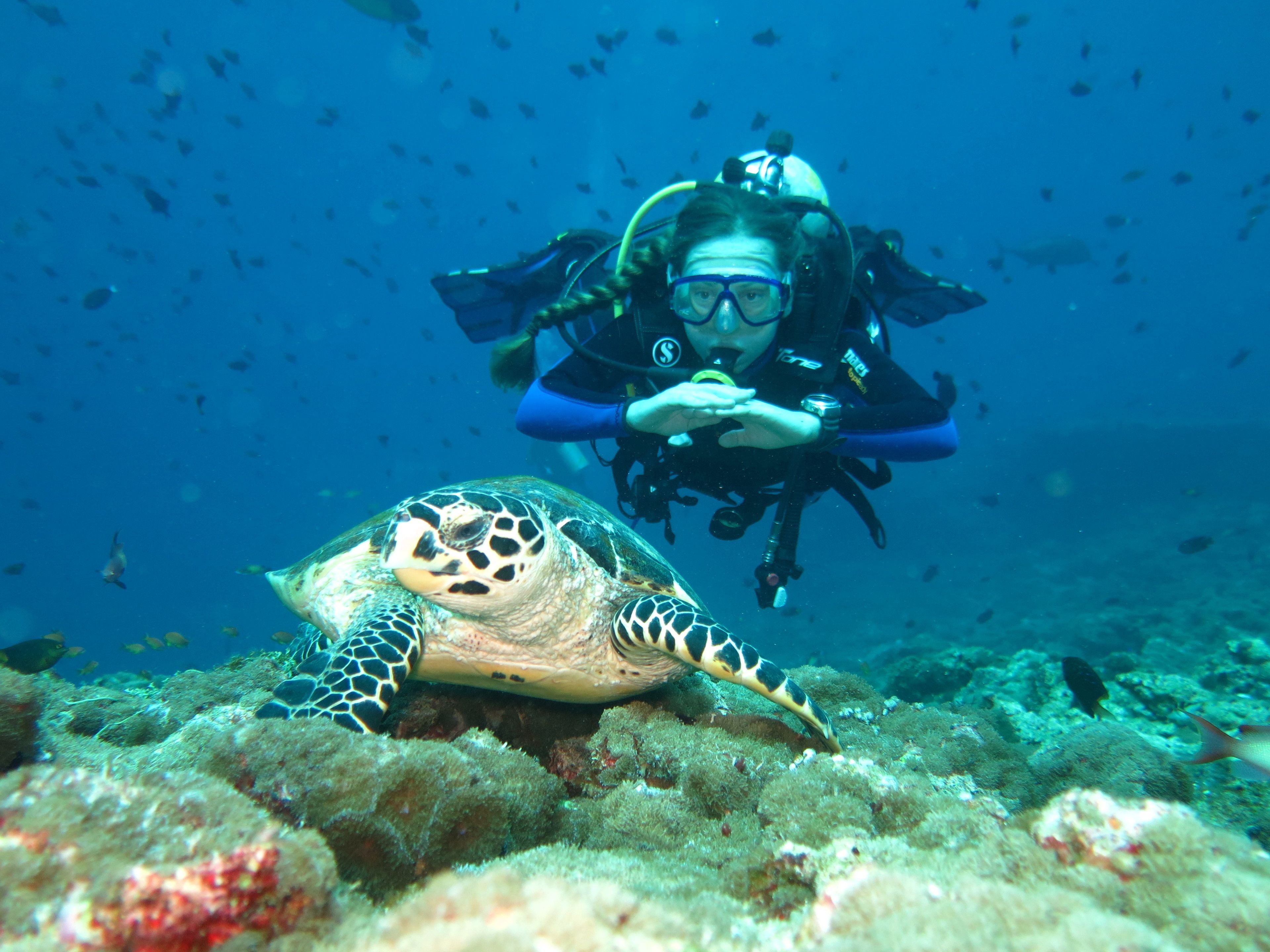 Photo - Vaali Maldives Island Escapes & Dive Guest House