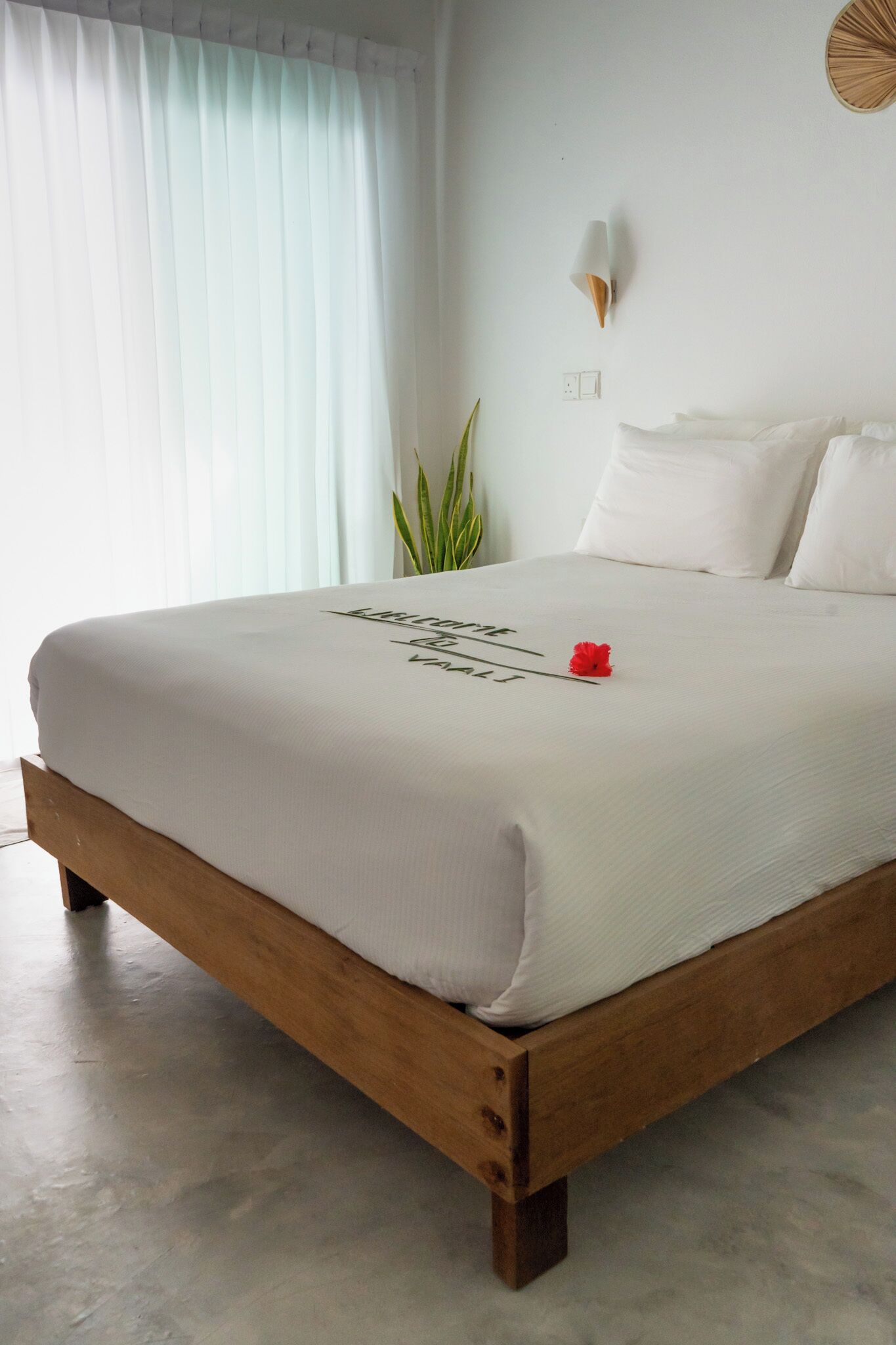 Photo - Vaali Maldives Island Escapes & Dive Guest House