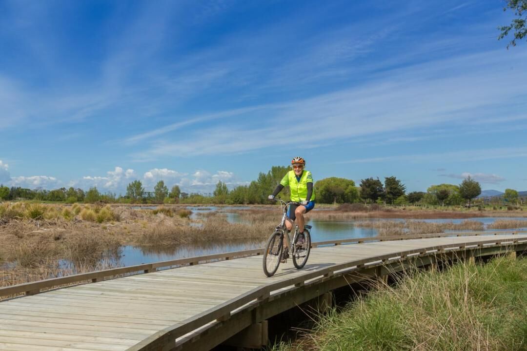 A person riding a bicycle on a wooden boardwalk over a body of water, surrounded by natural vegetation and trees.