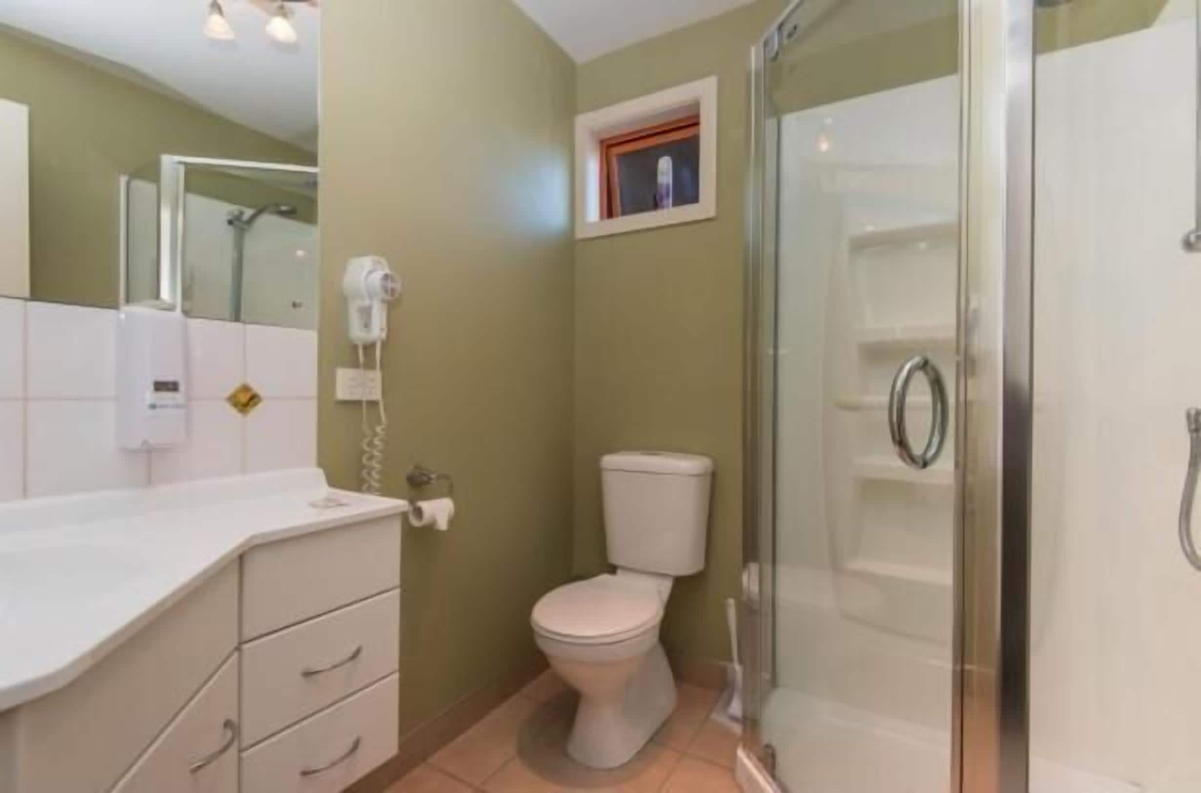 Une salle de bain équipée de toilettes, d’une douche, d’un sèche-cheveux et d’un miroir.