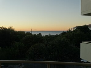 Vista de una zona costera con abundante follaje en primer plano y un puente a lo lejos.