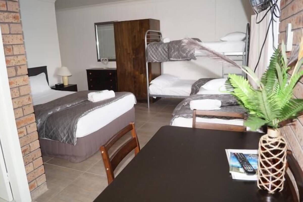 A hotel room with a single bed, a bunk bed, a wooden dresser, a desk with a chair, and a potted plant.
