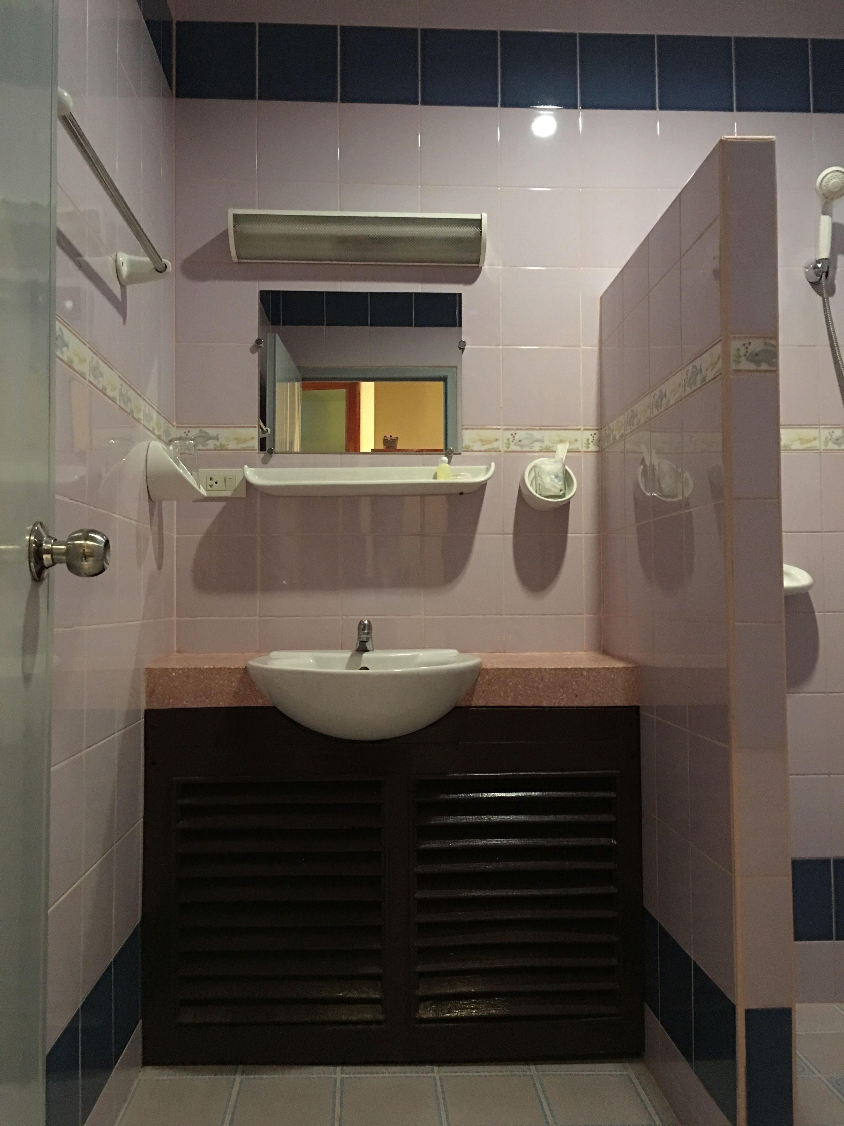 Une salle de bain avec un lavabo, un miroir et une douche.