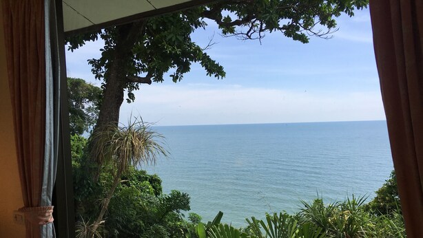 Vista a través de una ventana con cortinas, mostrando un paisaje tropical con vegetación exuberante y un mar tranquilo.