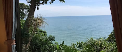 Vista desde la habitación