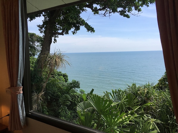 Vista desde la habitación