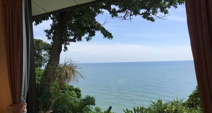 Top Resort