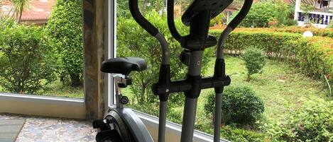 An indoor exercise area with a stationary bike, a mat, and a window overlooking a garden.