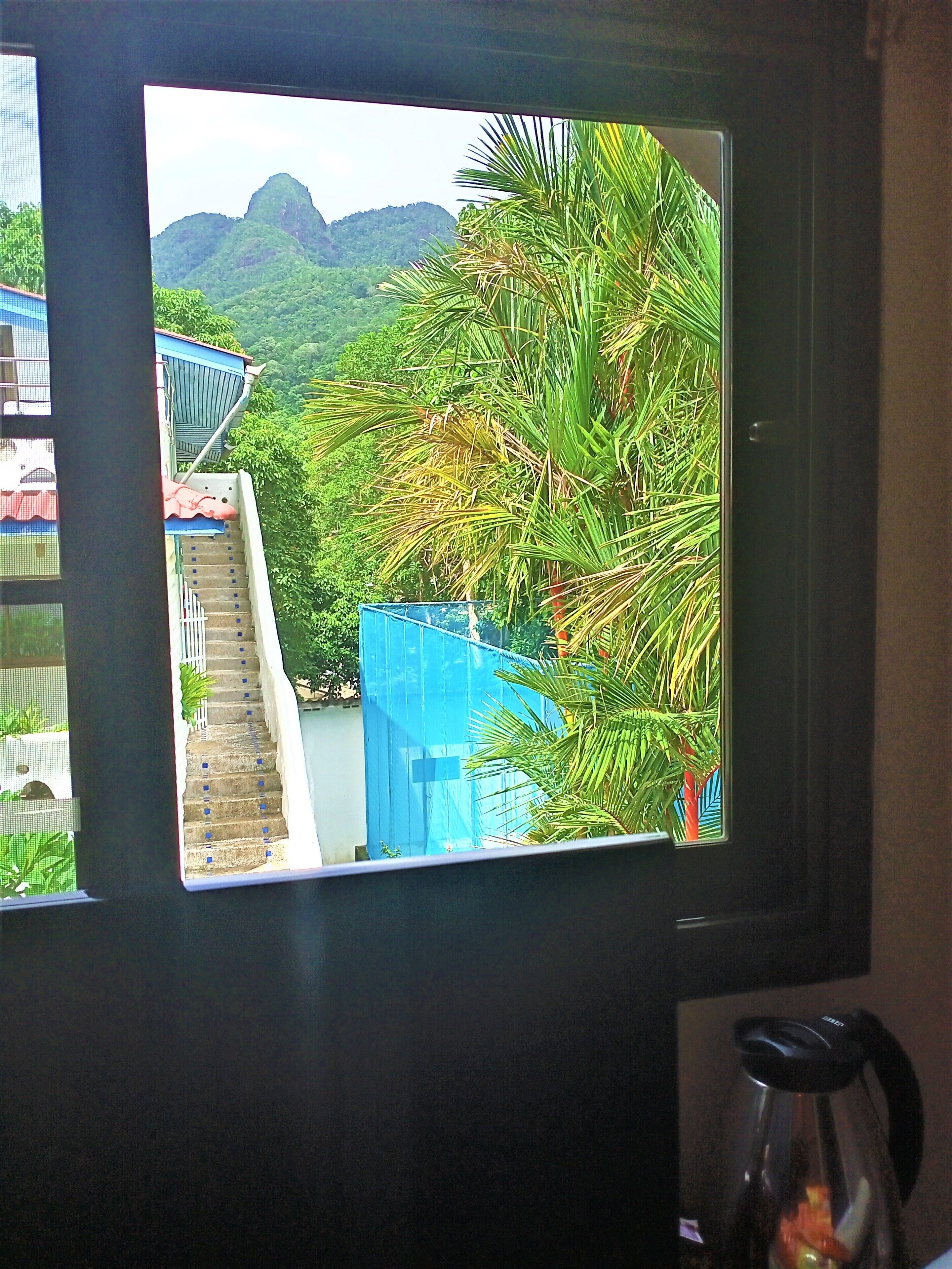 basic single room, shared bathroom | view from room