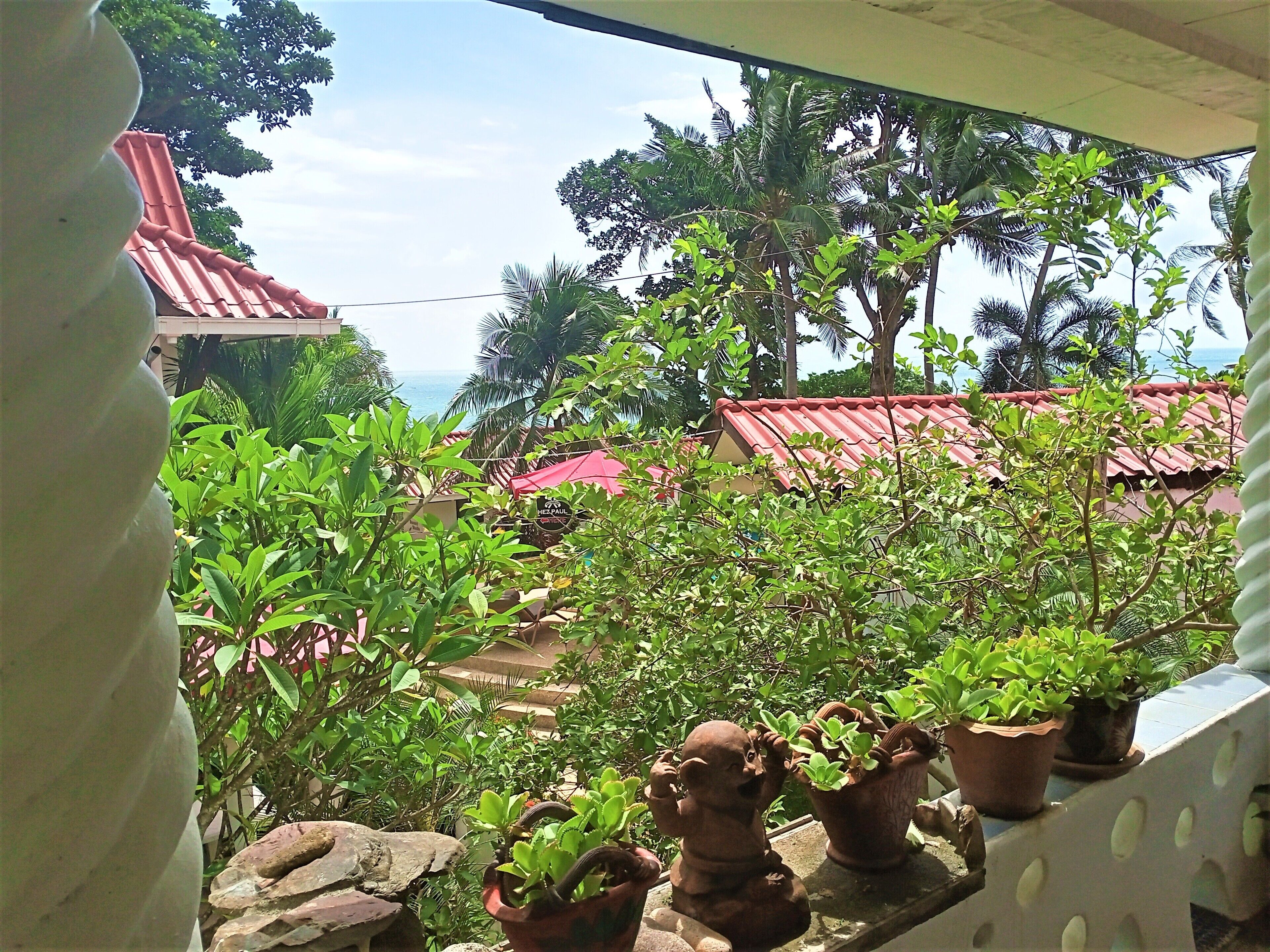 Vista desde un balcón con plantas en macetas y una pincelada de edificios circundantes con tejados rojos.