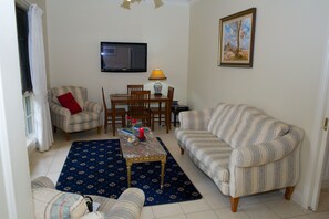 等離子電視、DVD 播放機