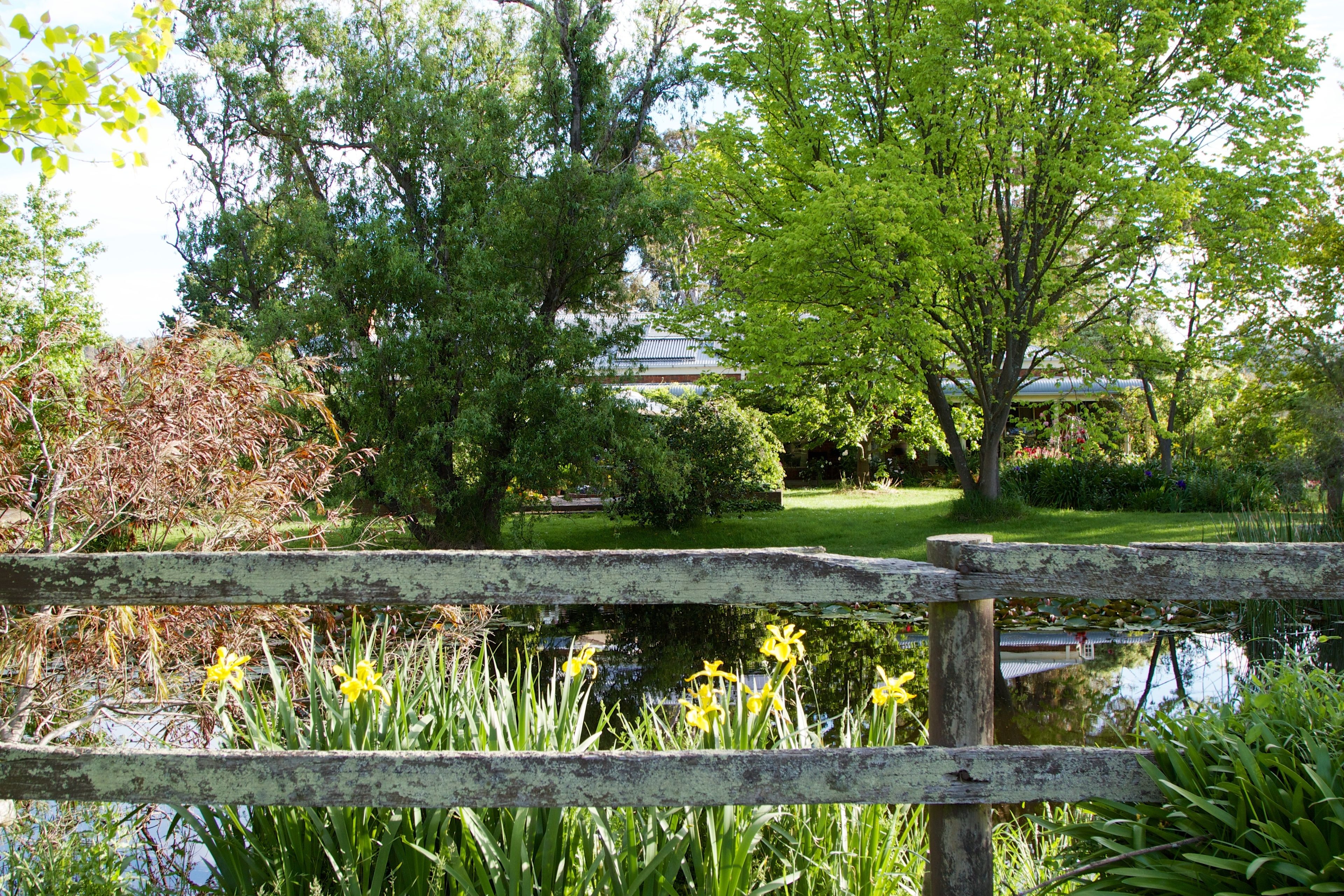 A garden with a pond, a wooden fence, and a building in the background.