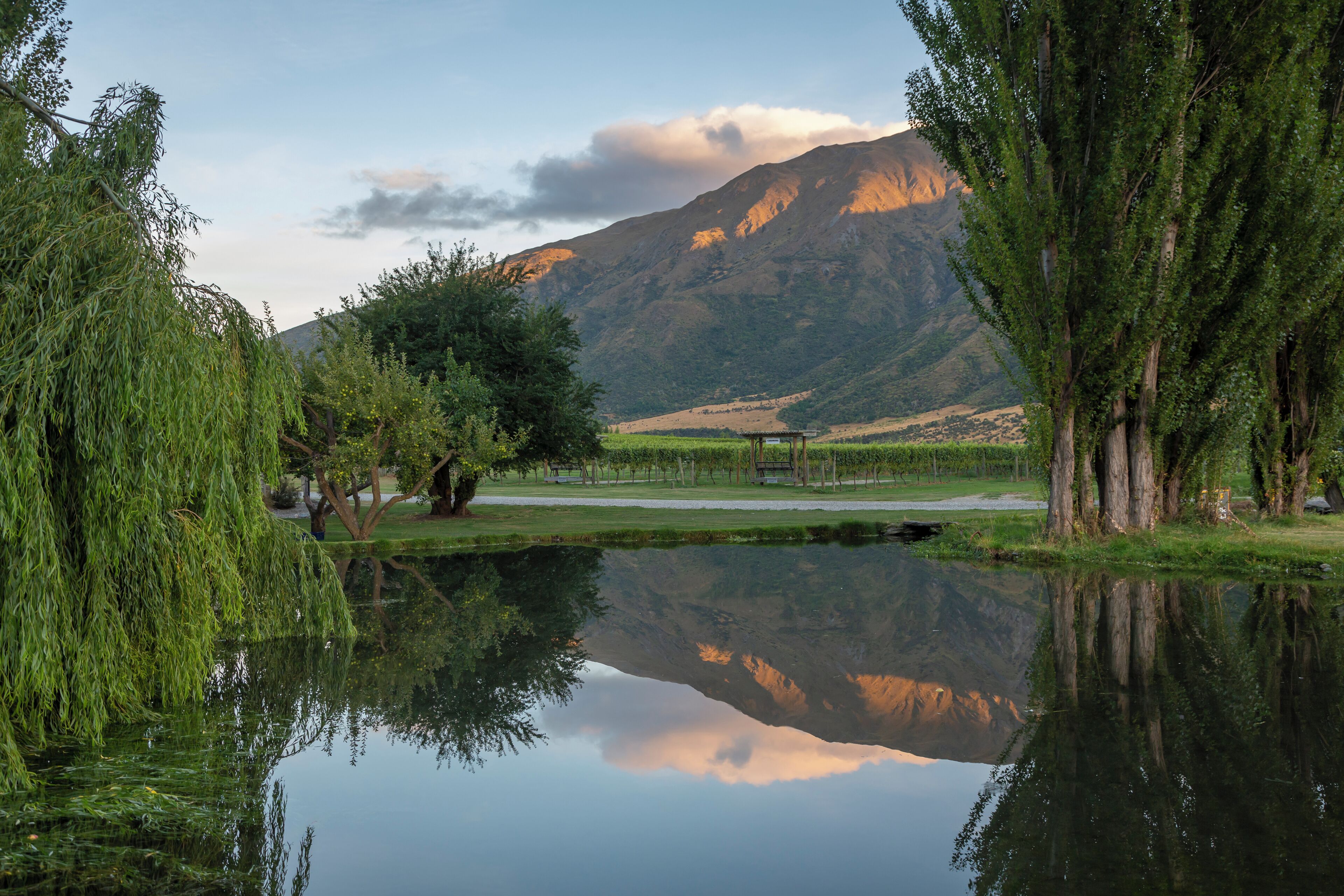 A serene landscape with a calm lake reflecting trees and a mountain in the background.
