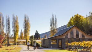 Een gebouw met een gevel van natuursteen en grote ramen, omgeven door bomen en een wijngaard.