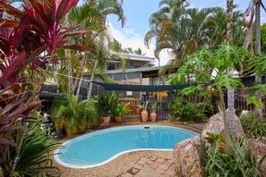 A swimming pool surrounded by tropical plants and a house in the background. - Cairns City Backpackers Hostel (Parramatta Park)