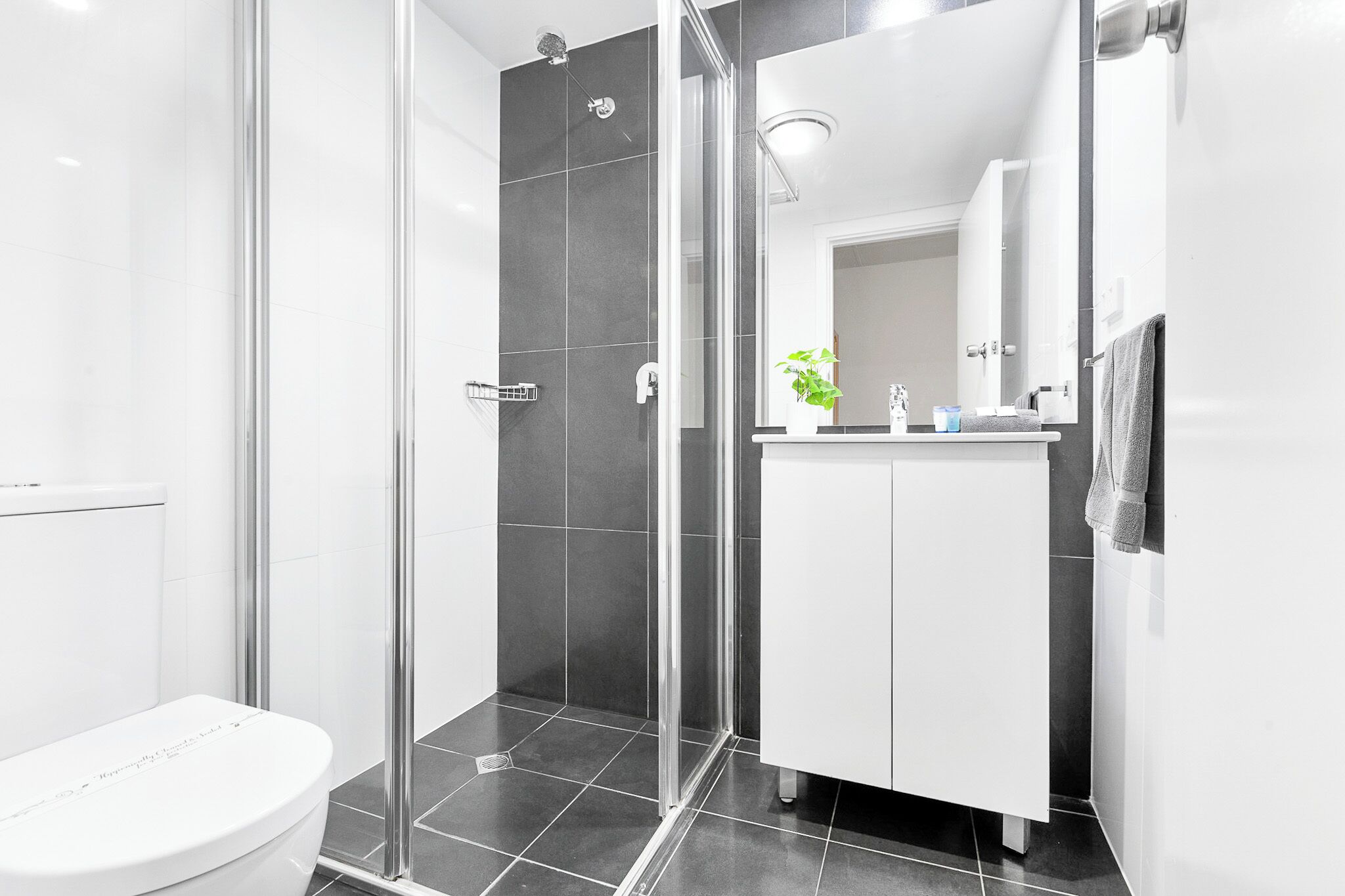A modern bathroom with a glass shower enclosure, a white toilet, and a vanity with a mirror.