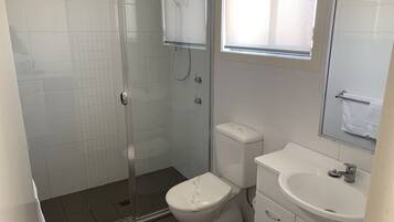 A modern bathroom with a glass-enclosed shower, a toilet, and a sink.