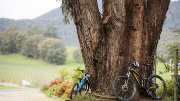 A mountain bike leaning against a large tree in a rural setting.