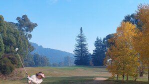 Uma pessoa jogando golfe num campo com árvores e céu claro.