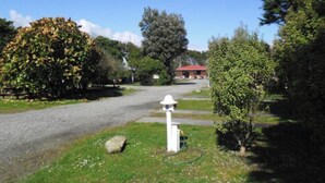 A gravel driveway leading to a house with a red roof, surrounded by lush greenery and trees.