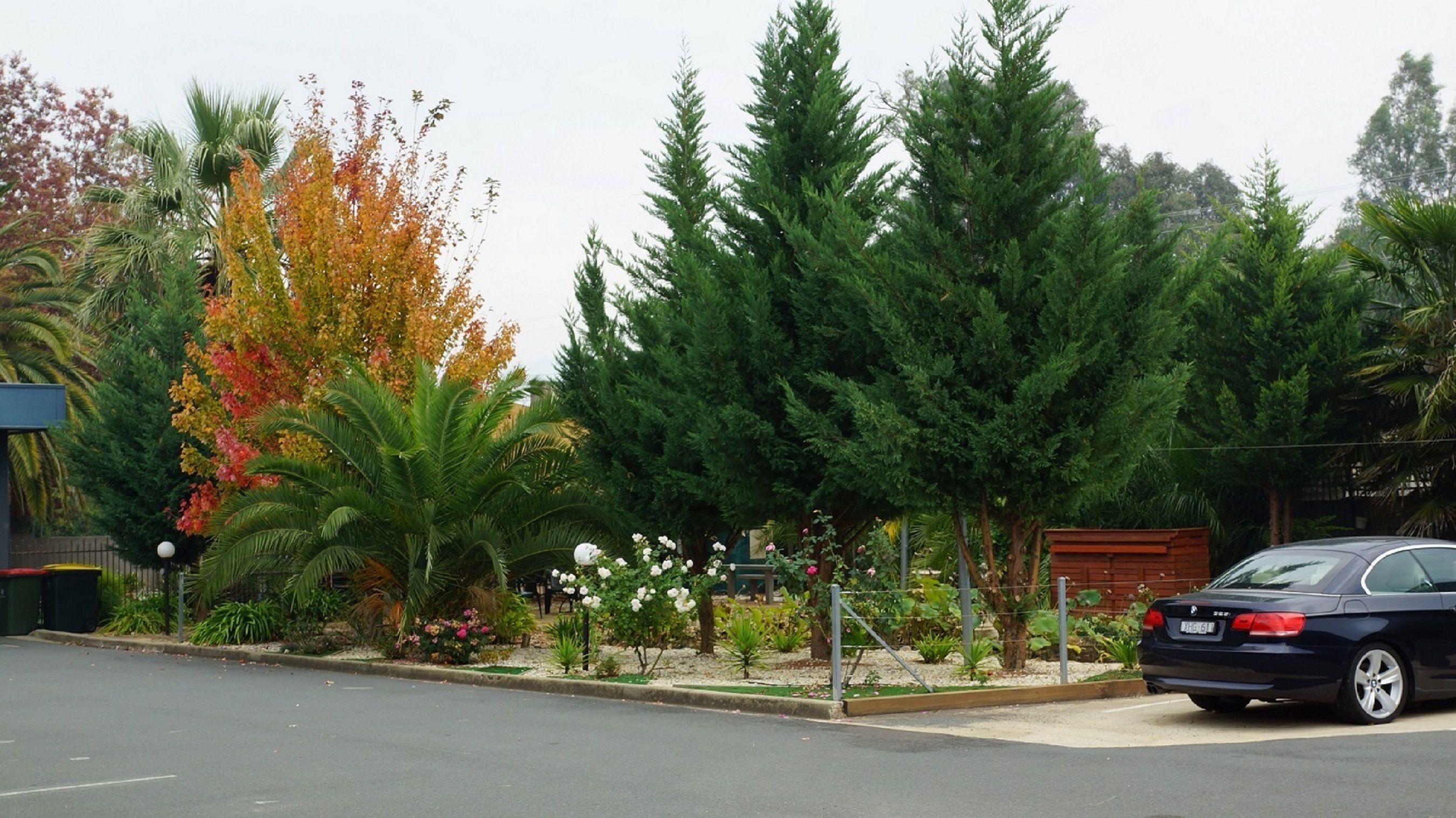 A residential street with a parked car, various trees, and a well-maintained garden with flowering plants.