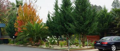 A residential street with a parked car, various trees, and a well-maintained garden with flowering plants.