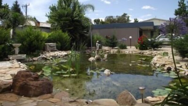 Un jardín con un estanque, rocas y diversas plantas.