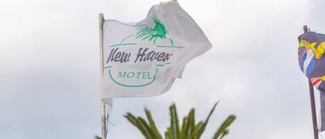 Un drapeau sur lequel on peut lire « New Haven Motel » et qui présente un palmier en arrière-plan.