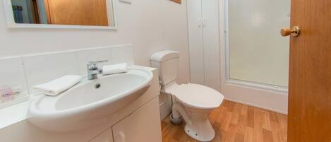 A bathroom with a white sink, toilet, and a shower area.