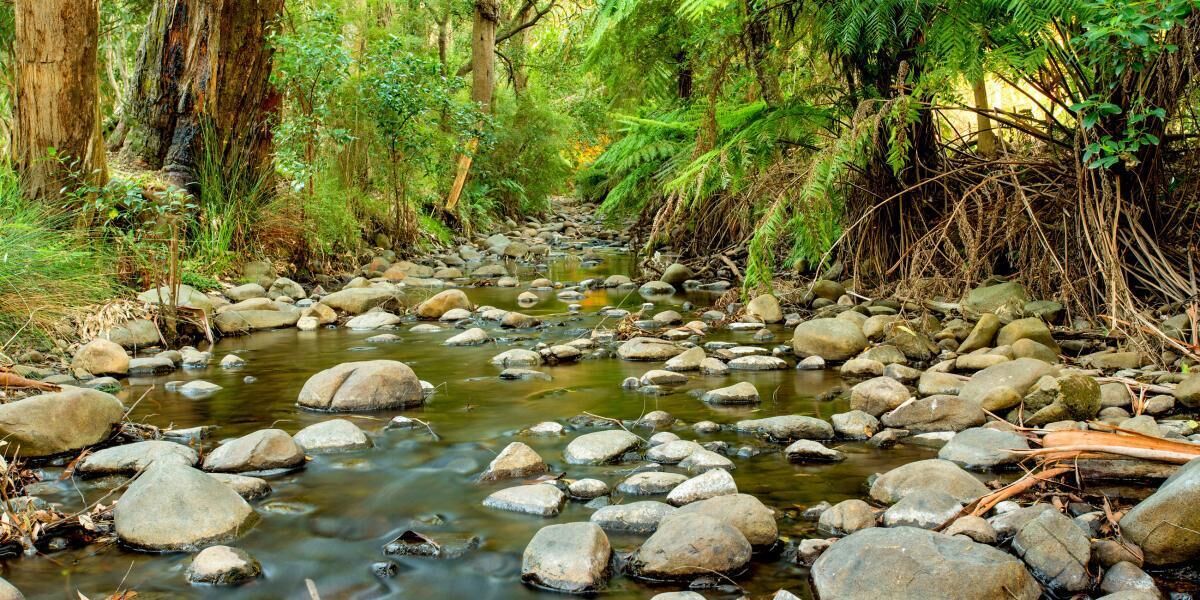 Photo - BIG4 Yarra Valley Park Lane Holiday Park