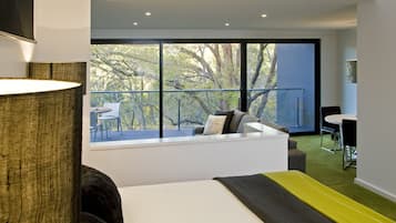 Smart TV, fireplace, Netflix, DVD player