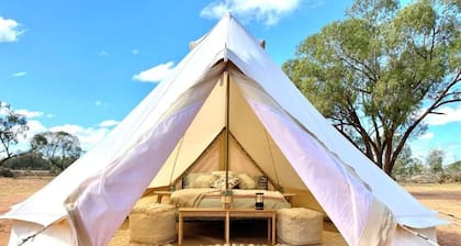 Mungo Lodge
