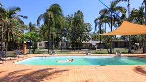 A swimming pool with lounge chairs and a shaded area, surrounded by palm trees and a fence. - Glenwood Tourist Park & Motel (South Grafton)