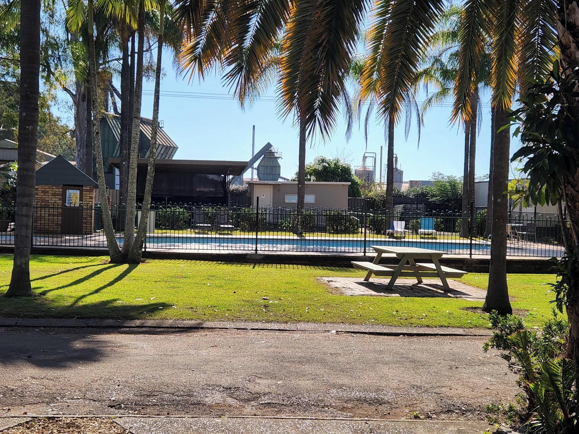 Zona de piscina con mesa de picnic, rodeada de palmeras y una valla.