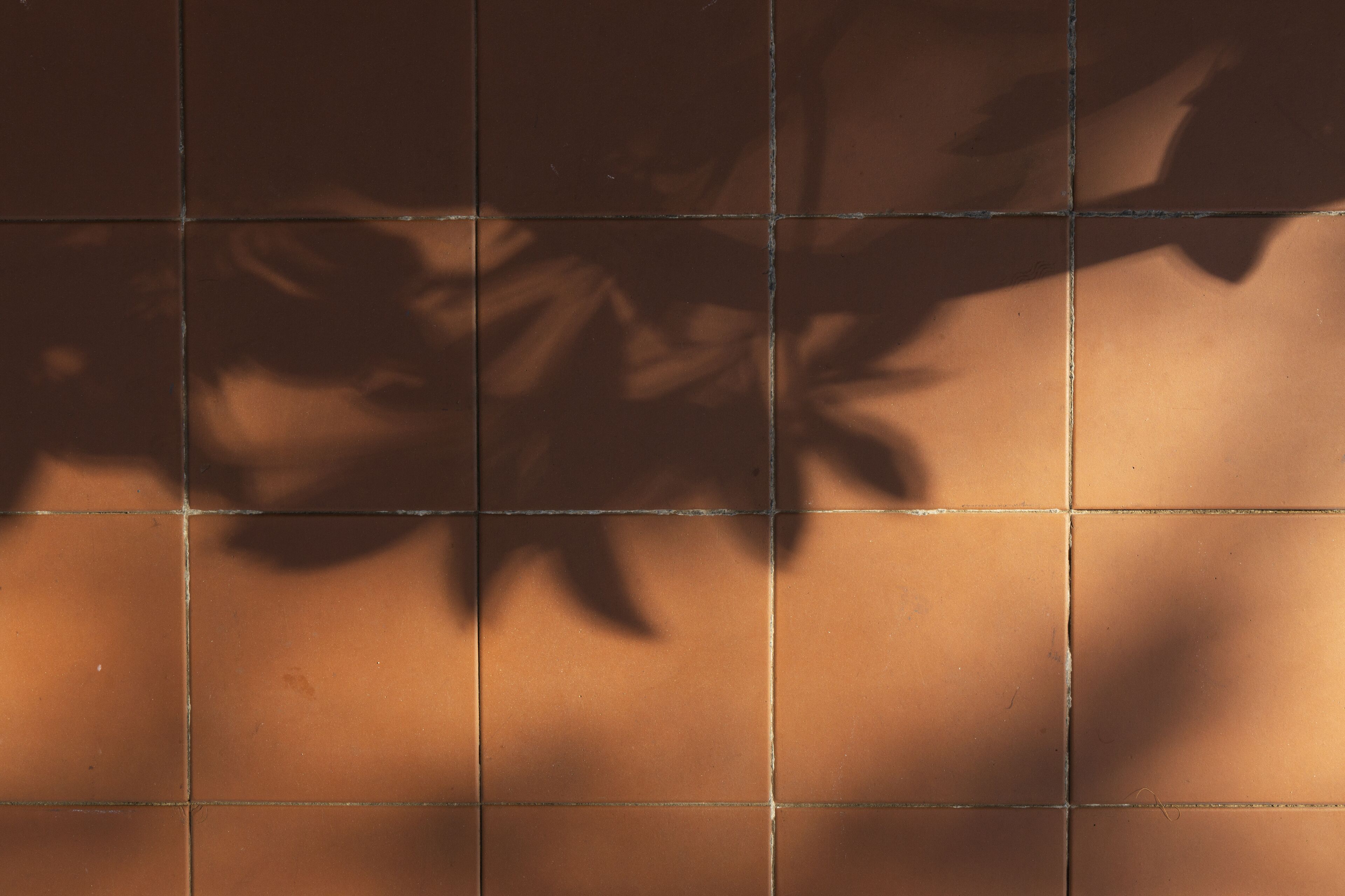 A tiled wall with shadows of leaves.