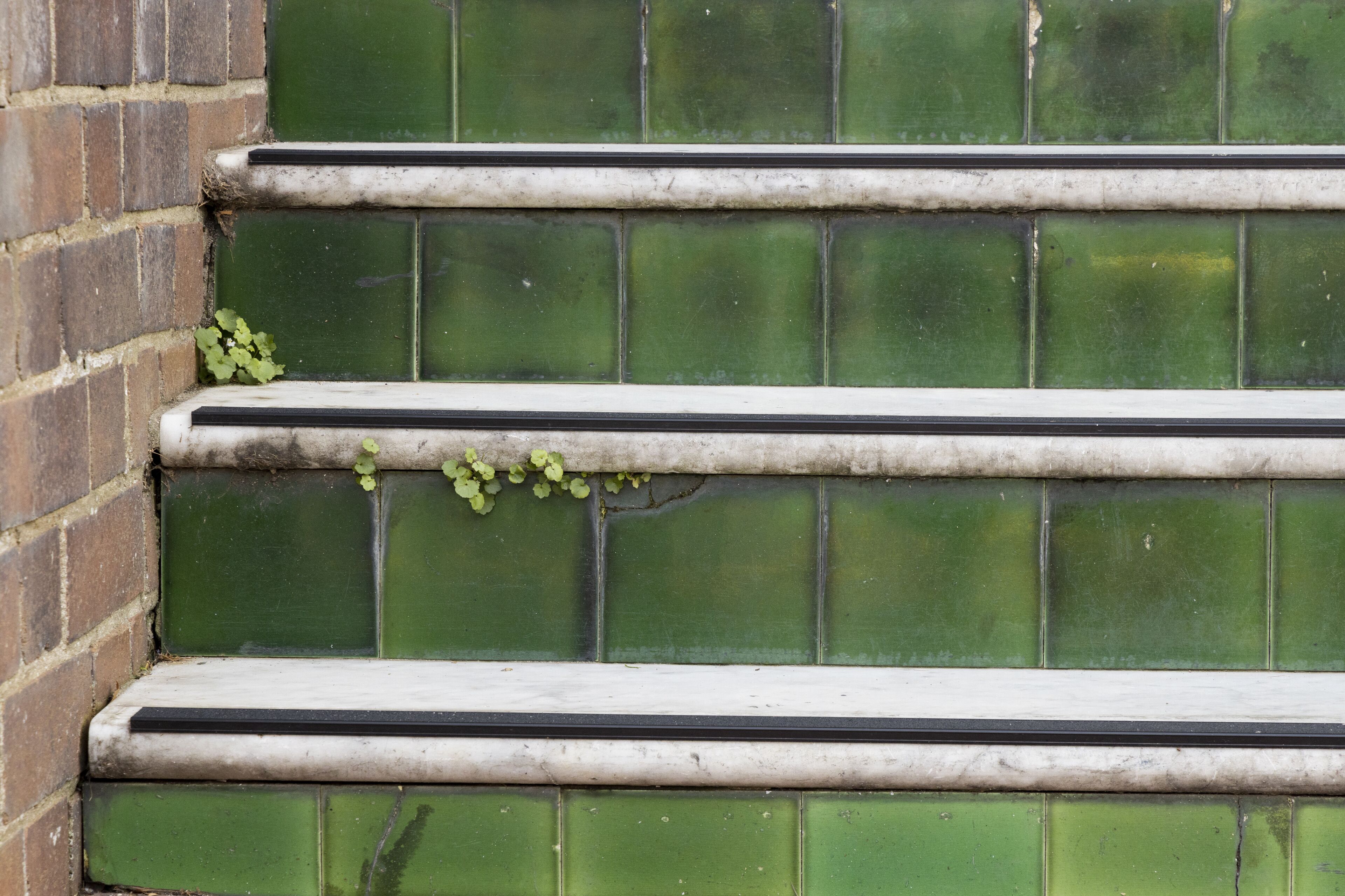 Degraus verdes revestidos de azulejos com corrimão branco.
