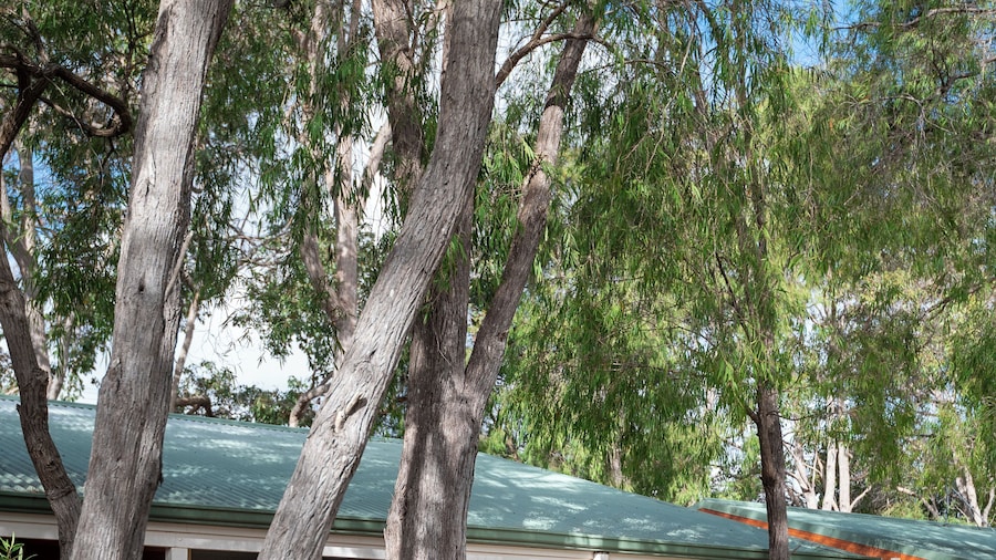 Margaret River Tourist Park