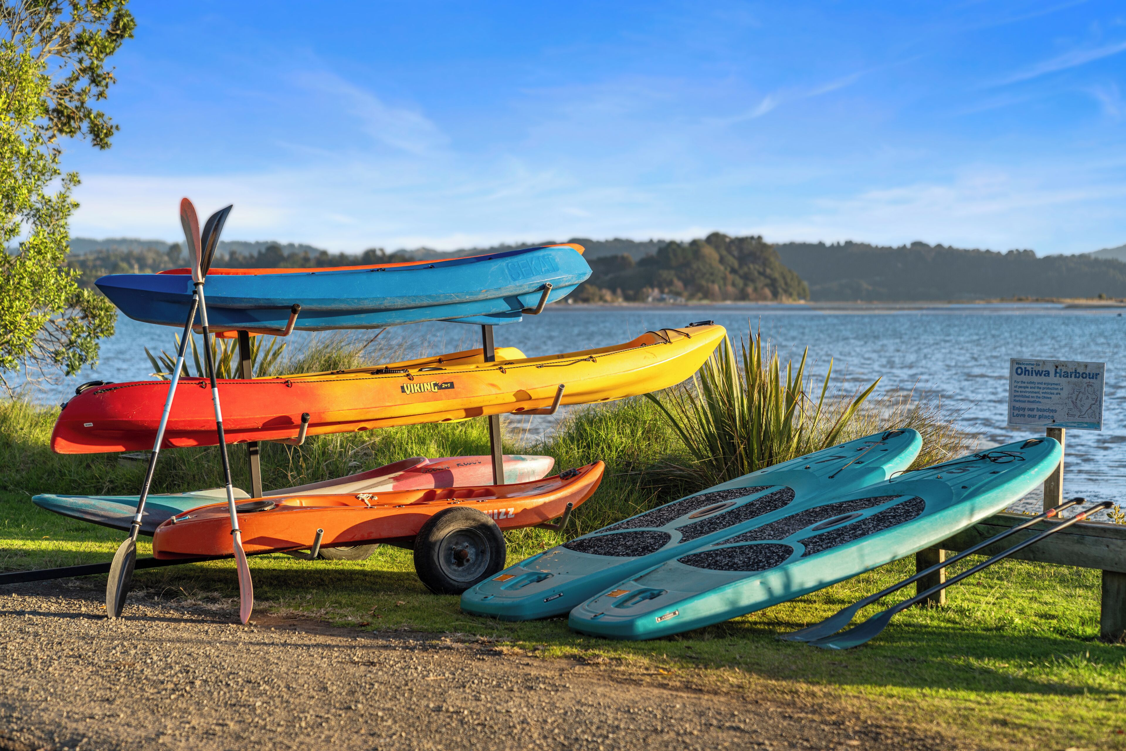 A row of kayaks and paddleboards by a lakeside.