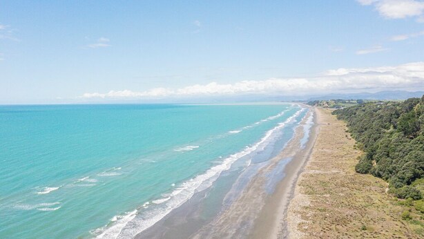 Un paysage côtier avec une plage et une zone boisée.